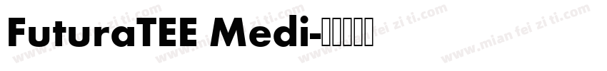 FuturaTEE Medi字体转换